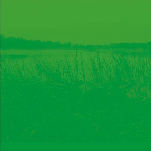 La enseñanza de la ciencia en contextos no formales: visita a la reserva ecológica de la ciudad Universitaria y al museo provincial de ciencias Naturales Florentino Ameghino, de la ciudad de Santa Fe
