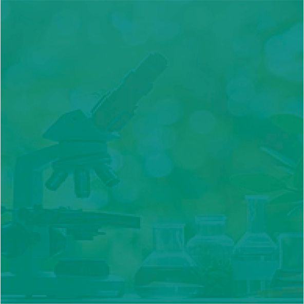 Más allá del aula: una mirada docente sobre las salidas didácticas en ciencias naturales en Santa Fe
