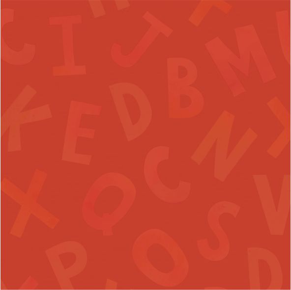 Alfabetización avanzada, un desafío transversal
